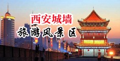 男人鸡巴插进女人阴道里视频完整版中国陕西-西安城墙旅游风景区